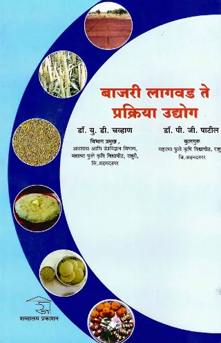 बाजरी लागवड ते प्रक्रिया उद्योग