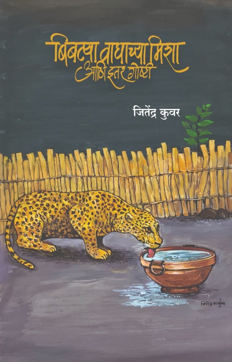 बिबट्या, वाघाच्या मिशा आणि इतर गोष्टी — image 13