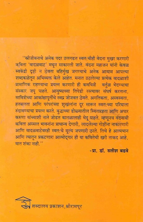 वादळवाट — image 1